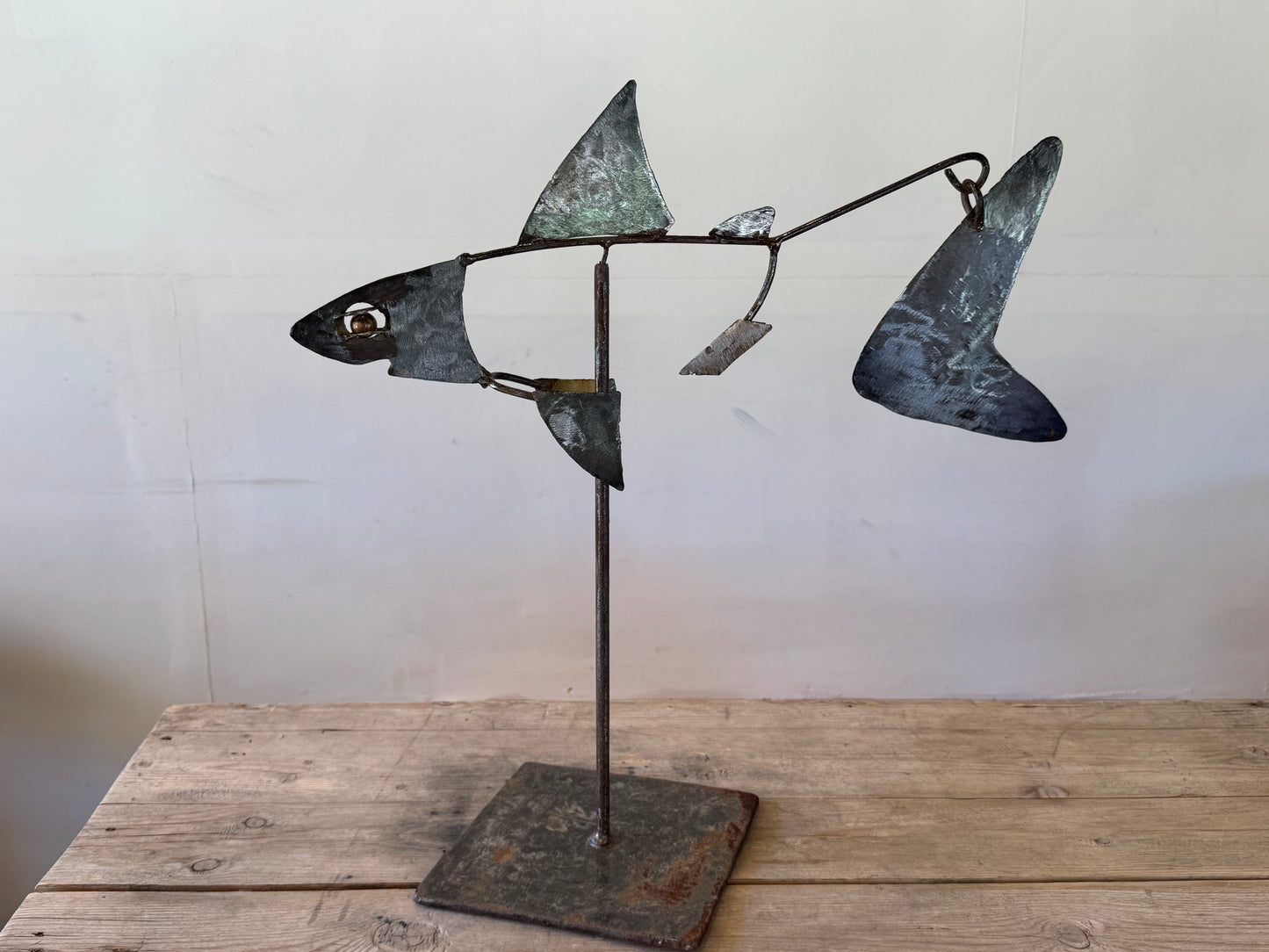 Medium Shark 32 inches x 21 inches by 6 inches (#5)
