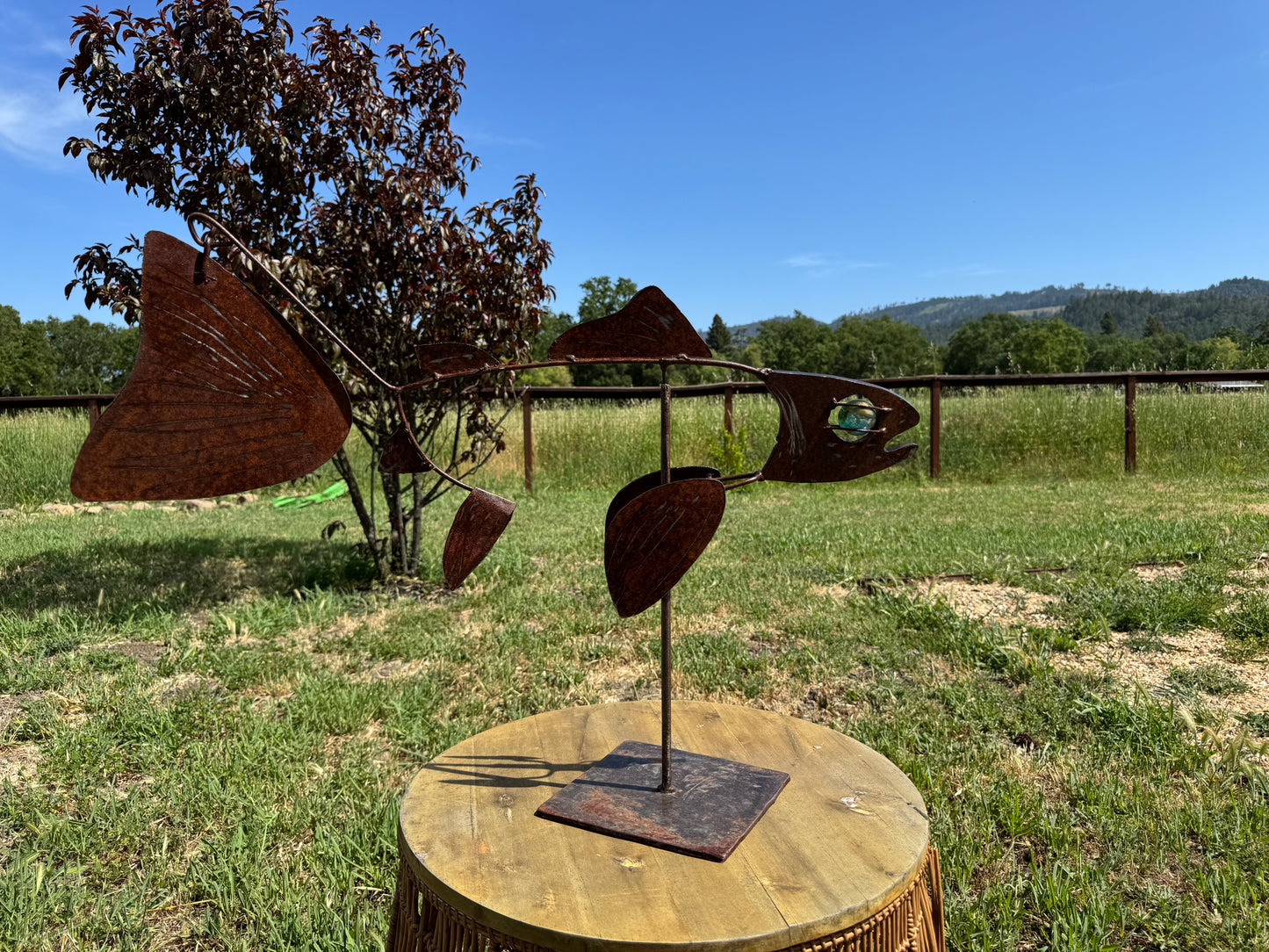 Large Napa River Steelhead 28 inches x 12 inches x 6 inches (Deep Rust/Grind Finish)