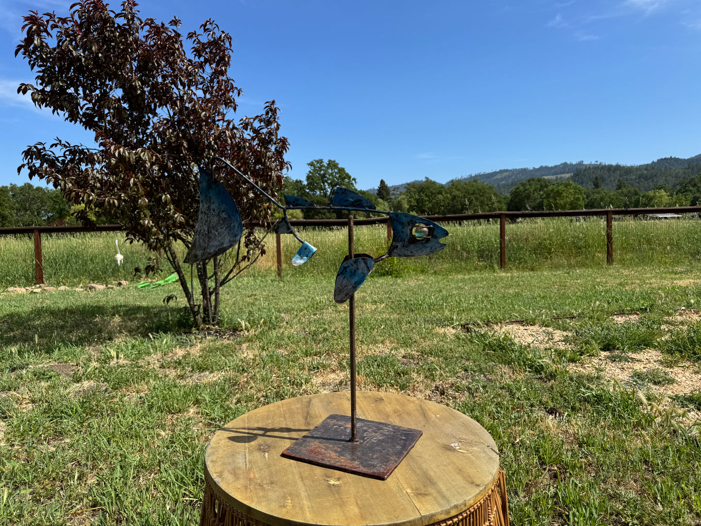 Medium Napa River Steelhead 19 inches x 9 inches x 5 inches (Blue/Splatter Finish)
