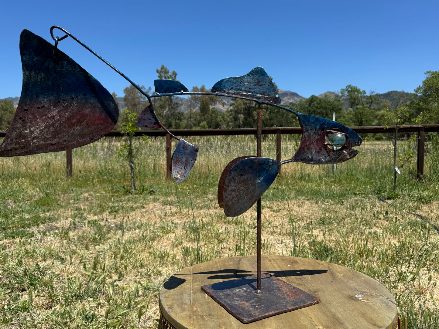 Large Napa River Steelhead 28 inches x 12 inches x 5 inches (Blue/Splatter Finish)